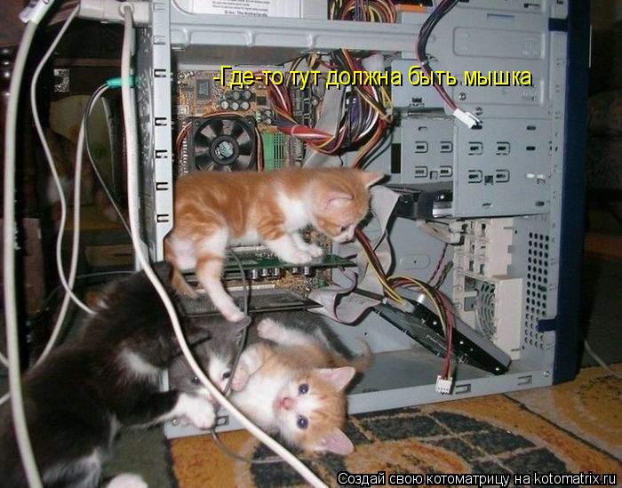 -Где-то тут должна быть мышка... Котоматрица: -Где-то тут должна быть мышка