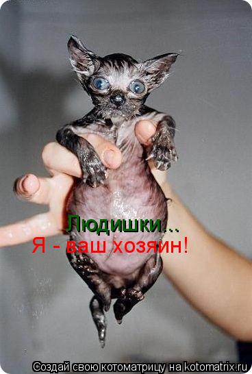 Людишки... Я - ваш хозяин!... Котоматрица: Людишки... Я - ваш хозяин!