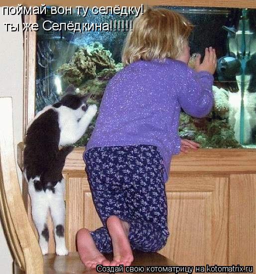поймай вон ту селёдку! ты же Селёдкина!!!!!!... Котоматрица: поймай вон ту селёдку! ты же Селёдкина!!!!!!