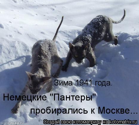 Зима 1941 года. Немецкие "Пантеры" пробирались к Москве...... Котоматрица: Зима 1941 года. Немецкие "Пантеры" пробирались к Москве...