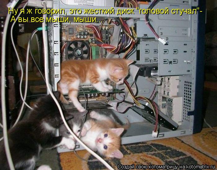 Ну я ж говорил, это жесткий диск "головой стучал"- А вы все мыши, мыши...... Котоматрица: Ну я ж говорил, это жесткий диск "головой стучал"- А вы все мыши, мыши...