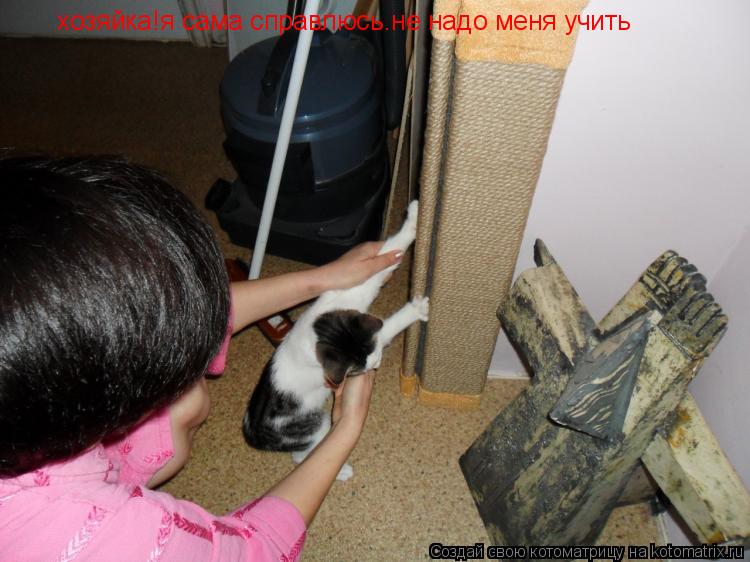 хозяйка!я сама справлюсь.не надо меня учить... Котоматрица: хозяйка!я сама справлюсь.не надо меня учить