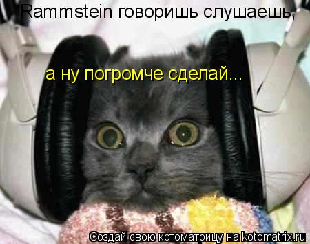 Rammstein говоришь слушаешь, а ну погромче сделай...... Котоматрица: Rammstein говоришь слушаешь, а ну погромче сделай...