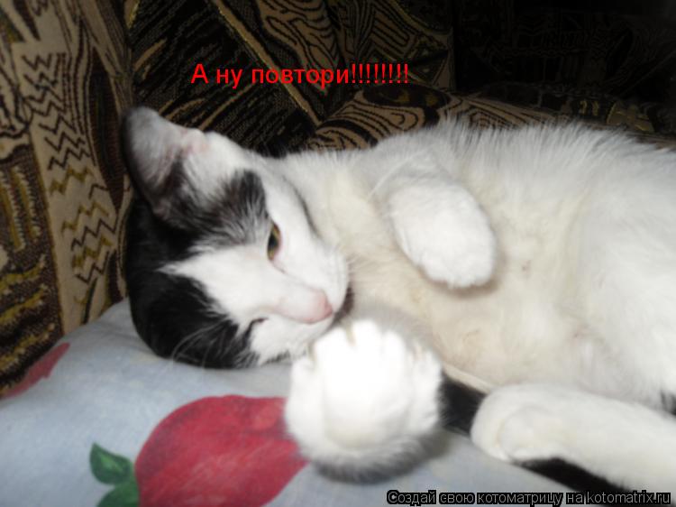 А ну повтори!!!!!!!!... Котоматрица: А ну повтори!!!!!!!!