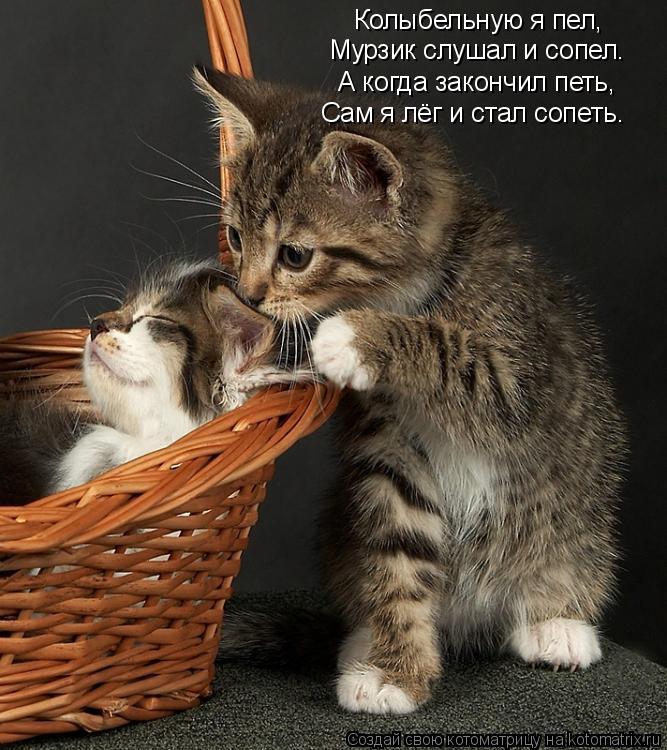 Котоматрица: Колыбельную я пел, Мурзик слушал и сопел. А когда закончил петь, Сам я лёг и стал сопеть.
