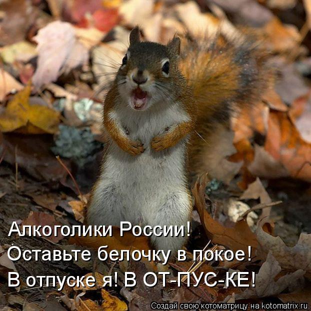 Котоматрица: Алкоголики России!  Оставьте белочку в покое! В отпуске я! В ОТ-ПУС-КЕ!