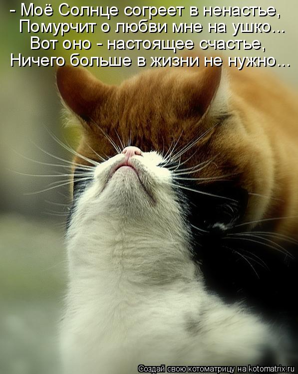 Котоматрица: - Моё Солнце согреет в ненастье, Помурчит о любви мне на ушко... Вот оно - настоящее счастье, Ничего больше в жизни не нужно...