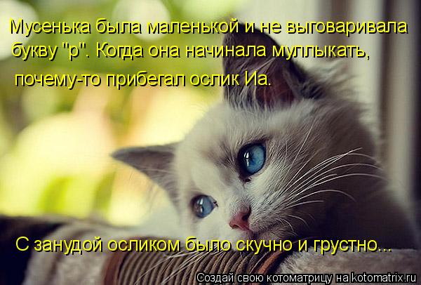 Мусенька была маленькой и не выговаривала букву "р". Когда она начинала муллыкать, почему-то прибега... Котоматрица: Мусенька была маленькой и не выговаривала букву "р". Когда она начинала муллыкать, почему-то прибегал ослик Иа. С занудой осликом было скучн