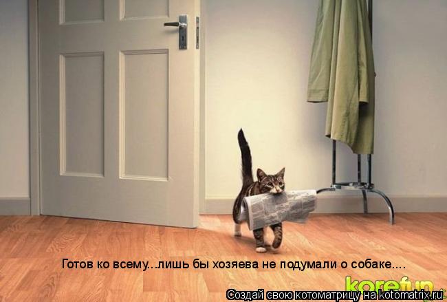 Готов ко всему...лишь бы хозяева не подумали о собаке....... Котоматрица: Готов ко всему...лишь бы хозяева не подумали о собаке....