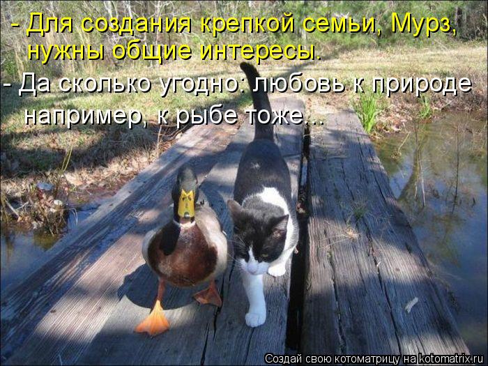 - Для создания крепкой семьи, Мурз, нужны общие интересы. - Да сколько угодно: любовь к природе напри... Котоматрица: - Для создания крепкой семьи, Мурз, нужны общие интересы. - Да сколько угодно: любовь к природе например, к рыбе тоже...