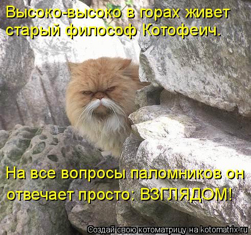 Котоматрица: Высоко-высоко в горах живет старый философ Котофеич.  На все вопросы паломников он отвечает просто: ВЗГЛЯДОМ!