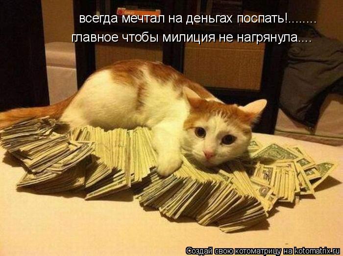 Котоматрица: всегда мечтал на деньгах поспать!........ главное чтобы милиция не нагрянула....