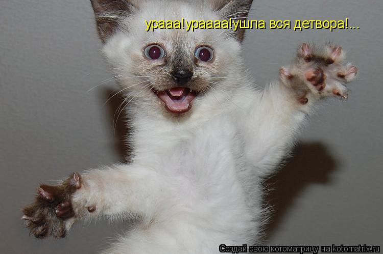Котоматрица: урааа!ураааа!ушла вся детвора!...