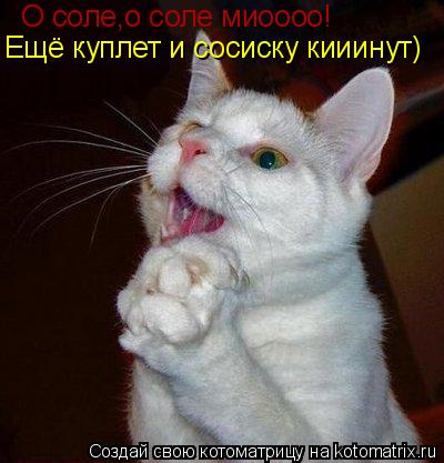 Котоматрица: О соле,о соле миоооо! Ещё куплет и сосиску кииинут)