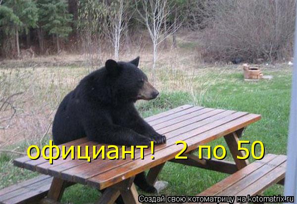 Котоматрица: официант!  2 по 50