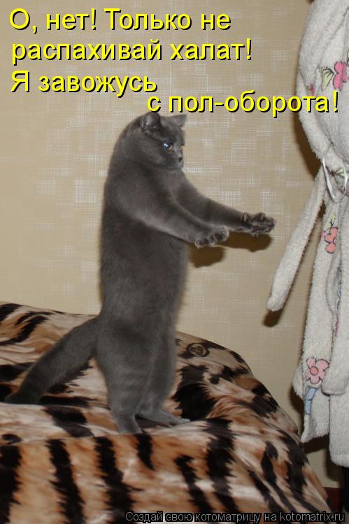 Котоматрица: О, нет! Только не распахивай халат! Я завожусь  с пол-оборота!