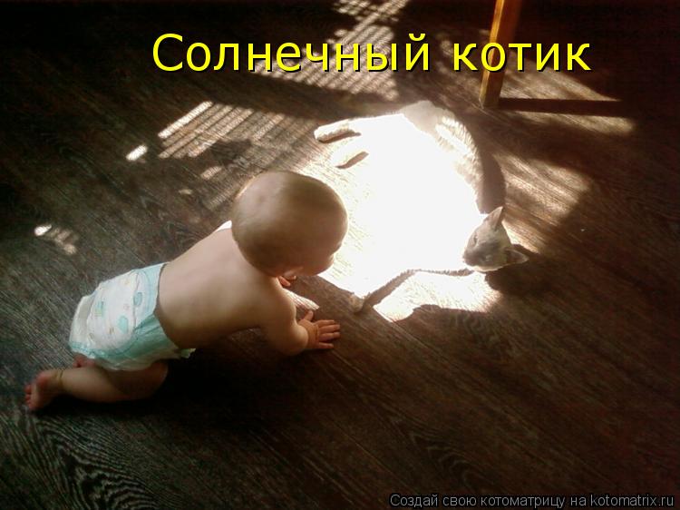 Котоматрица: Солнечный котик