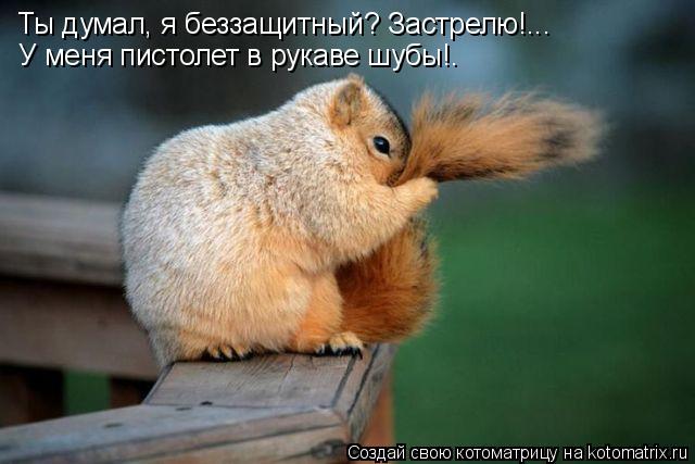 Котоматрица: Ты думал, я беззащитный? Застрелю!...  У меня пистолет в рукаве шубы!.