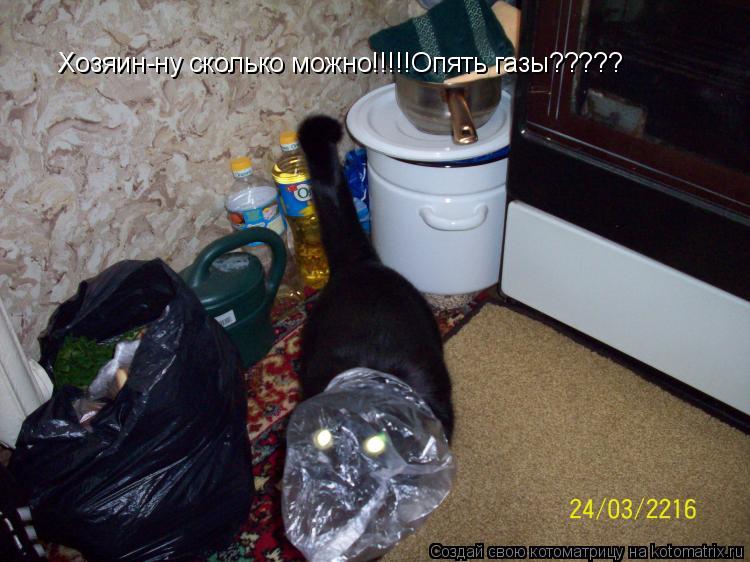 Котоматрица: Хозяин-ну сколько можно!!!!!Опять газы?????