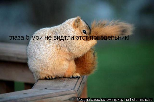 Котоматрица: глаза б мои не видтли этот понедельник!