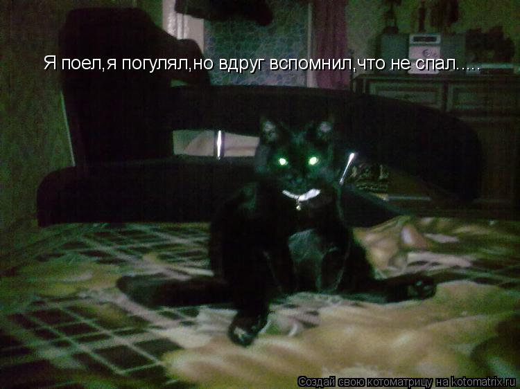 Котоматрица: Я поел,я погулял,но вдруг вспомнил,что не спал.....