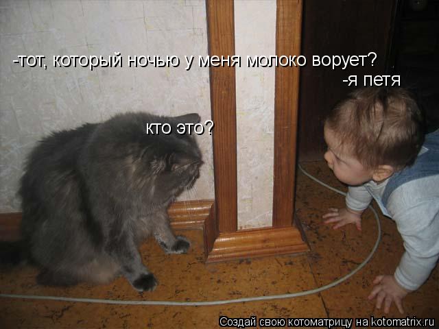 кто это? -я петя -тот, который ночью у меня молоко ворует?... Котоматрица: кто это? -я петя -тот, который ночью у меня молоко ворует?