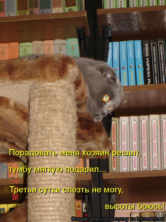 Порадовать меня хозяин решил, тумбу мягкую подарил... Третьи сутки слезть не могу, высоты боюсь!... Котоматрица: Порадовать меня хозяин решил, тумбу мягкую подарил... Третьи сутки слезть не могу, высоты боюсь!