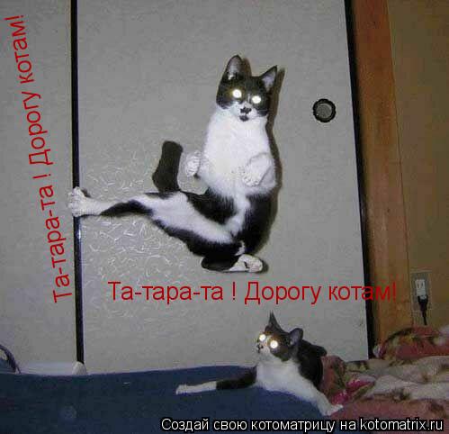 Та-тара-та ! Дорогу котам! Та-тара-та ! Дорогу котам!... Котоматрица: Та-тара-та ! Дорогу котам! Та-тара-та ! Дорогу котам!