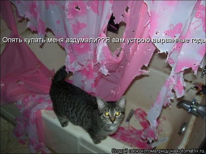Опять купать меня вздумали??Я вам устрою вырванные годы...... Котоматрица: Опять купать меня вздумали??Я вам устрою вырванные годы...