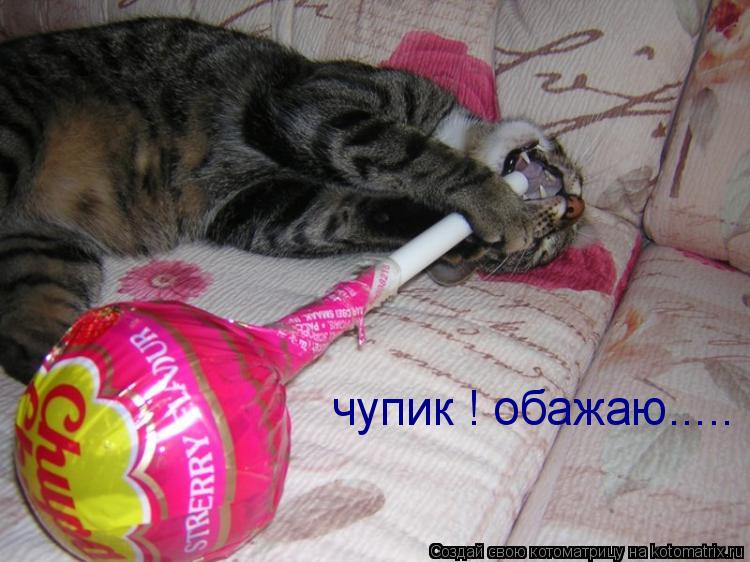чупик ! обажаю........ Котоматрица: чупик ! обажаю.....