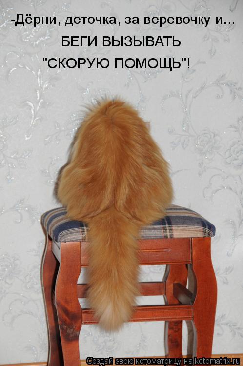 -Дёрни, деточка, за веревочку и... БЕГИ ВЫЗЫВАТЬ "СКОРУЮ ПОМОЩЬ"!... Котоматрица: -Дёрни, деточка, за веревочку и... БЕГИ ВЫЗЫВАТЬ "СКОРУЮ ПОМОЩЬ"!