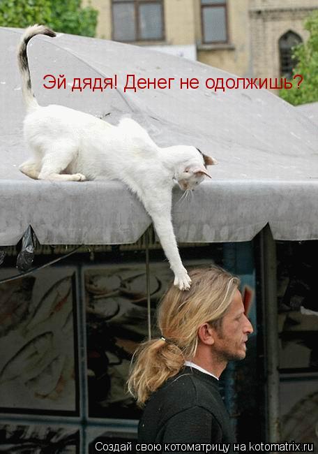 Эй дядя! Денег не одолжишь?... Котоматрица: Эй дядя! Денег не одолжишь?