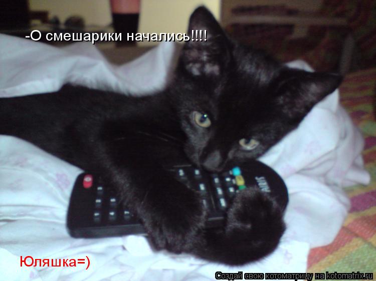 Котоматрица: -О смешарики начались!!!! Юляшка=)