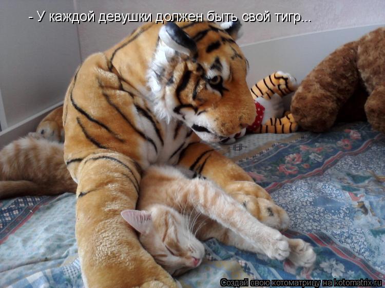 Котоматрица: - У каждой девушки должен быть свой тигр... - У каждой девушки должен быть свой тигр...