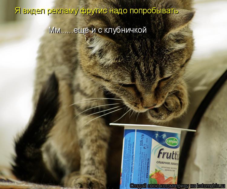 Котоматрица: Я видел рекламу фрутис надо попробывать  Мм......ещё и с клубничкой