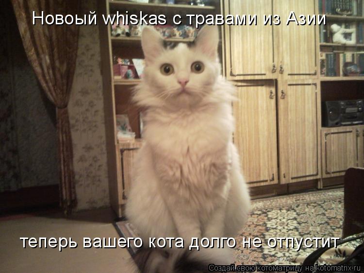 Котоматрица: Новоый whiskas с травами из Азии теперь вашего кота долго не отпустит