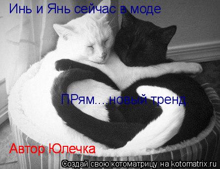 Котоматрица: Инь и Янь сейчас в моде  ПРям....новый тренд  Автор Юлечка Автор Юлечка Автор Юлечка