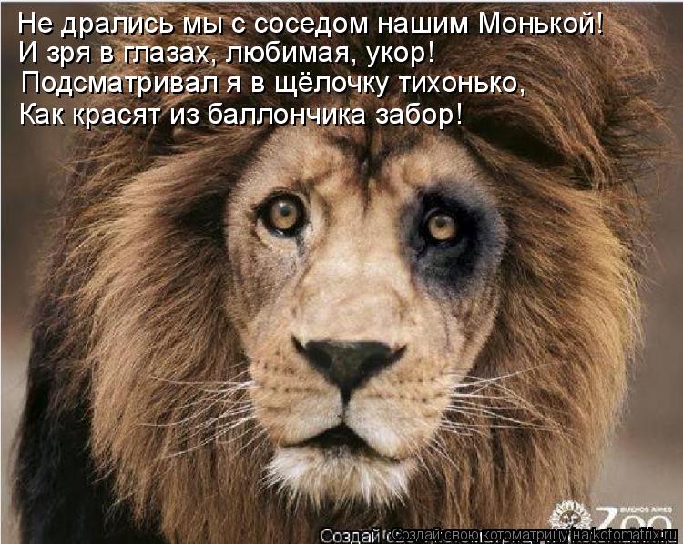 Не дрались мы с соседом нашим Монькой! И зря в глазах, любимая, укор! Подсматривал я в щёлочку тихонь... Котоматрица: Не дрались мы с соседом нашим Монькой! И зря в глазах, любимая, укор! Подсматривал я в щёлочку тихонько, Как красят из баллончика забор!