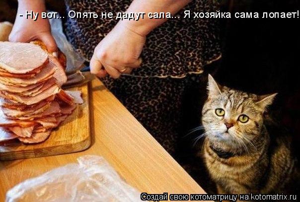 Котоматрица: - Ну вот... Опять не дадут сала... Я хозяйка сама лопает!
