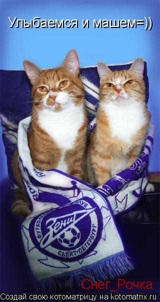 Котоматрица: Улыбаемся и машем=)) Снег_Рочка