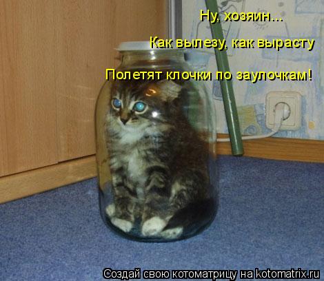 Котоматрица: Ну, хозяин... Как вылезу, как вырасту Полетят клочки по заулочкам!