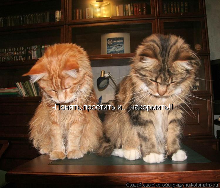 Котоматрица: -Понять,простить и....накормить!!