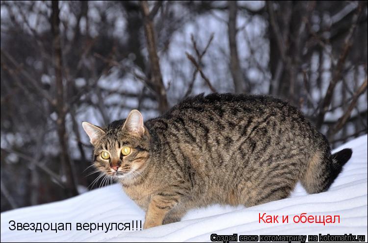 Котоматрица: Звездоцап вернулся!!! Как и обещал