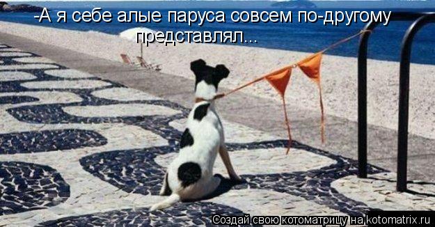 представлял... -А я себе алые паруса совсем по-другому... Котоматрица: представлял... -А я себе алые паруса совсем по-другому