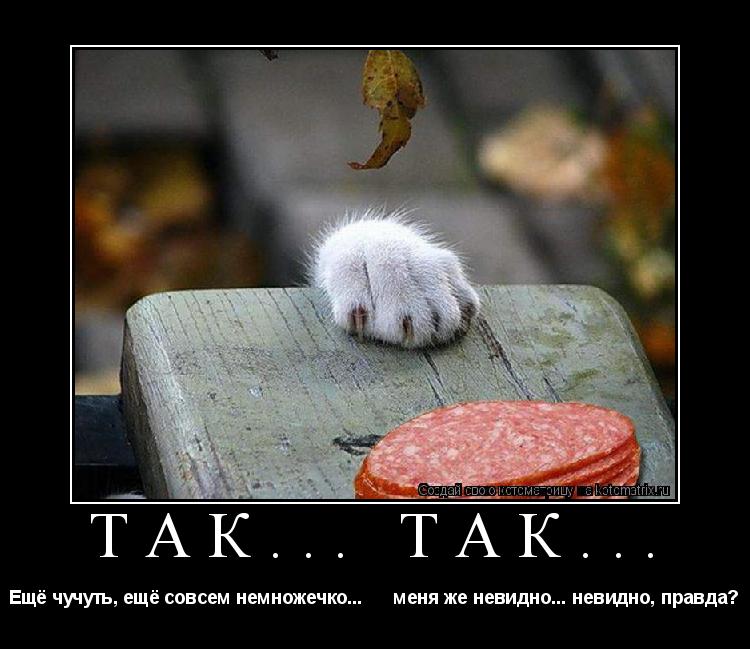 Котоматрица: так... так... Ещё чучуть, ещё совсем немножечко...      меня же невидно... невидно, правда?