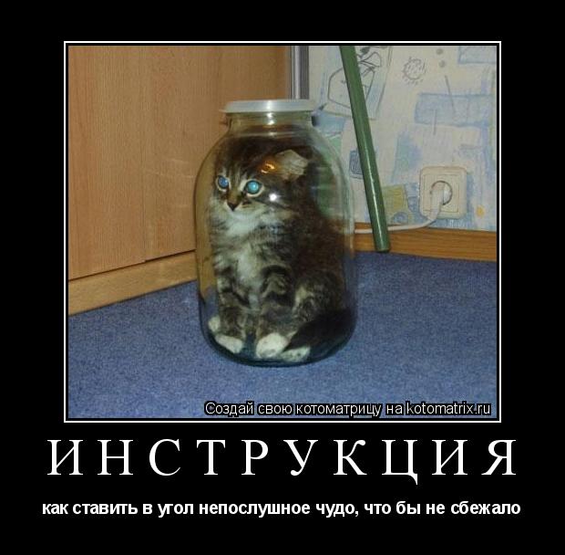 Котоматрица: инструкция как ставить в угол непослушное чудо, что бы не сбежало
