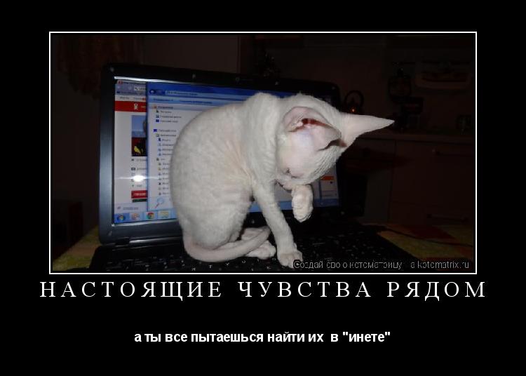 НАСТОЯЩИЕ ЧУВСТВА РЯДОМ а ты все пытаешься найти их в "инете"... Котоматрица: НАСТОЯЩИЕ ЧУВСТВА РЯДОМ а ты все пытаешься найти их в "инете"