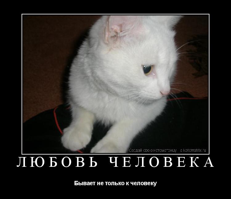 Любовь человека Бывает не только к человеку... Котоматрица: Любовь человека Бывает не только к человеку