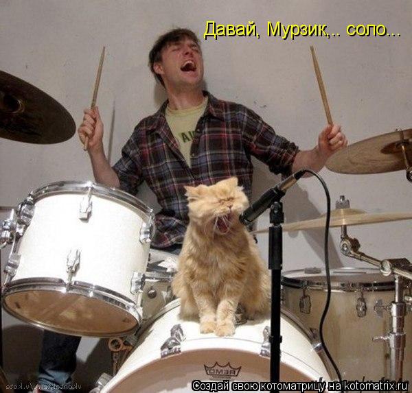 Давай, Мурзик,.. соло...... Котоматрица: Давай, Мурзик,.. соло...