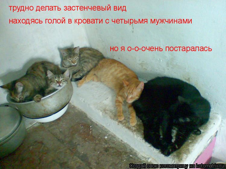 трудно делать застенчевый вид находясь голой в кровати с четырьмя мужчинами но я о-о-очень постаралас... Котоматрица: трудно делать застенчевый вид находясь голой в кровати с четырьмя мужчинами но я о-о-очень постаралась